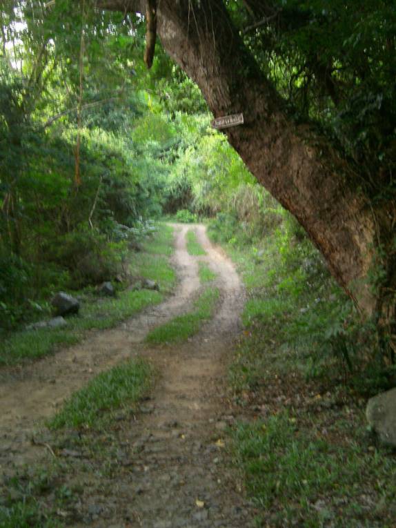 A gostosa trilha de pouco mais de 2 km que leva de Bogles à Anse La Roche, em Carriacou, ilha ao norte de Granada